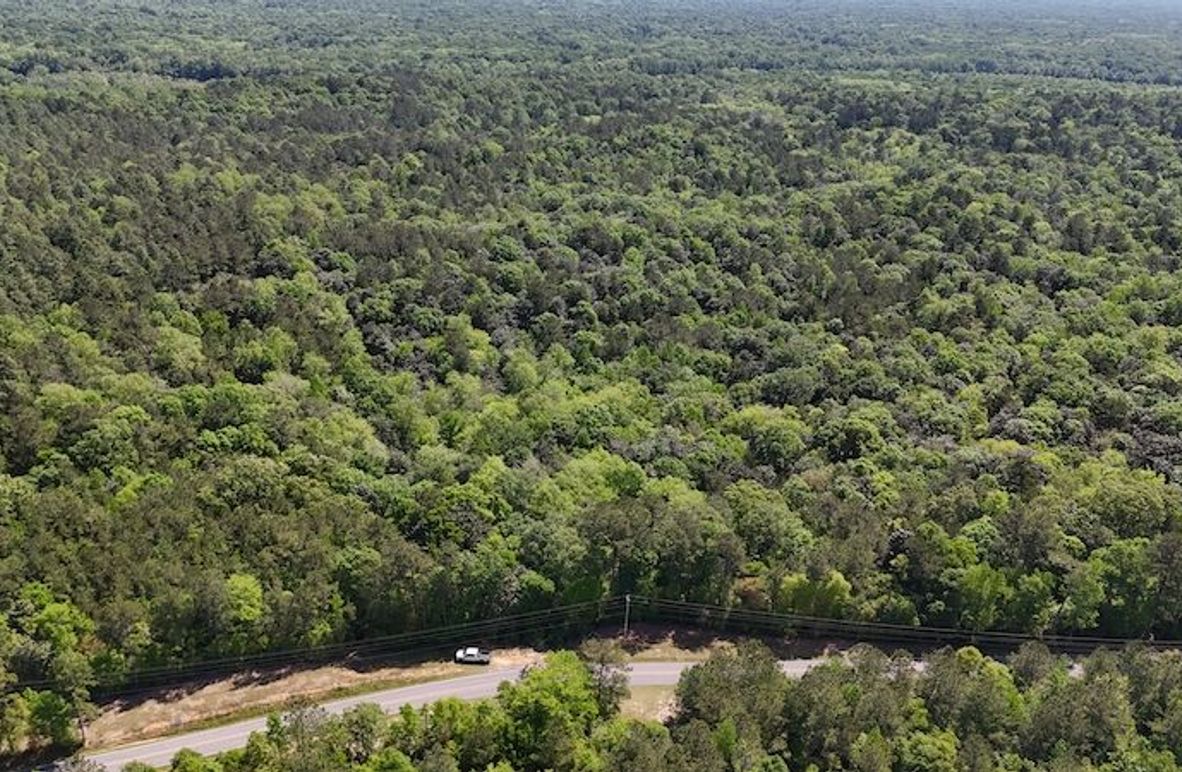 DJI_20250417120406_0004_D