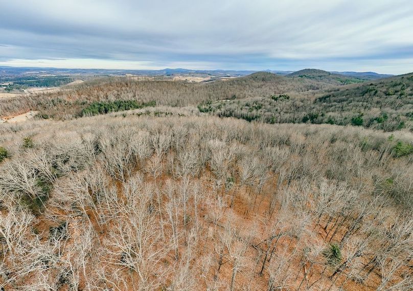 DJI_20260116094525_0017_D