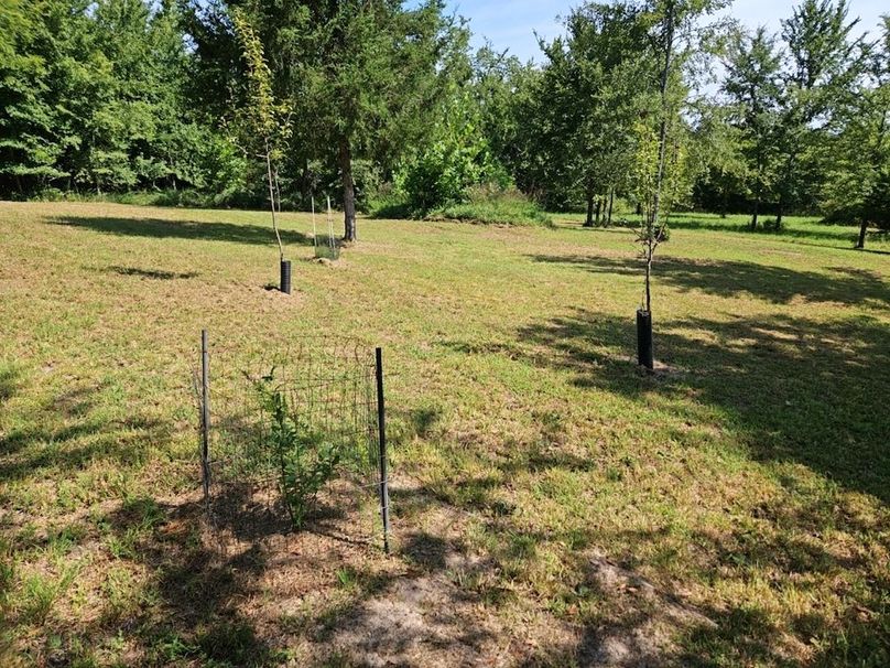 DJI_20240808_103156_133