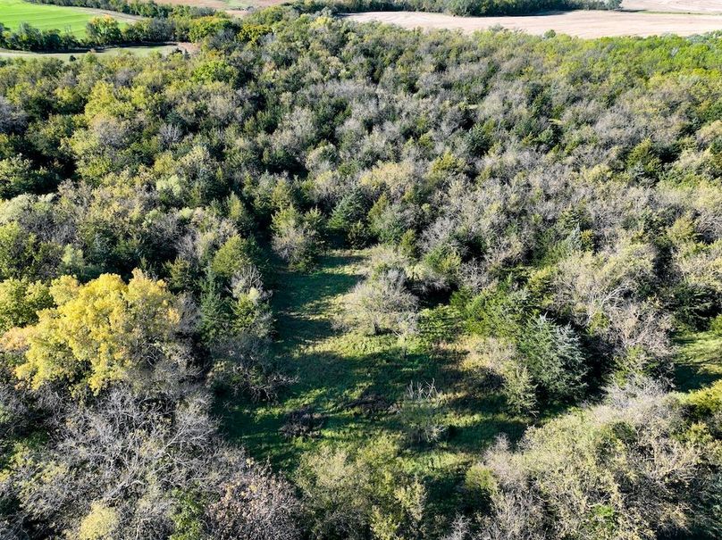 Dickinson Co, 154.5_030