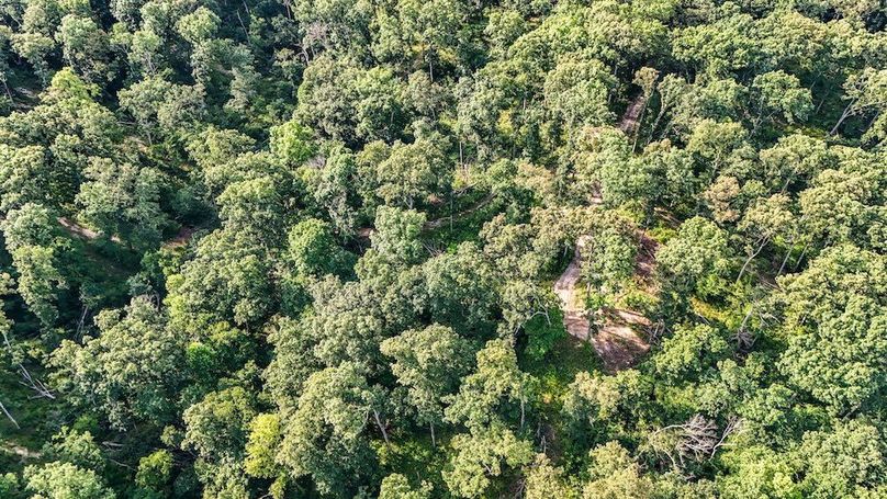 DJI_20250729081636_0110_D