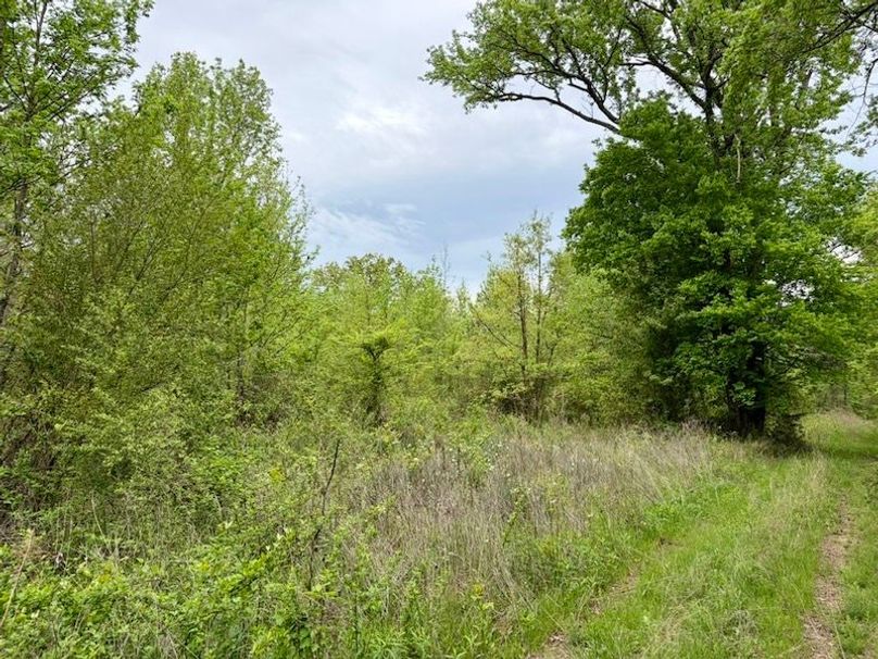 2C51207A-8B68-4F4B-AE7A-044EE819B0BC_1_105_c