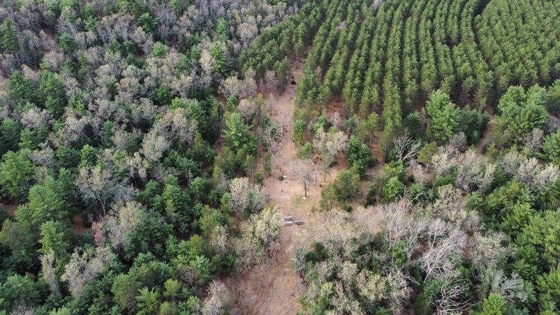 dji_fly_20230509_171652_404_1683724325944_photo_optimized