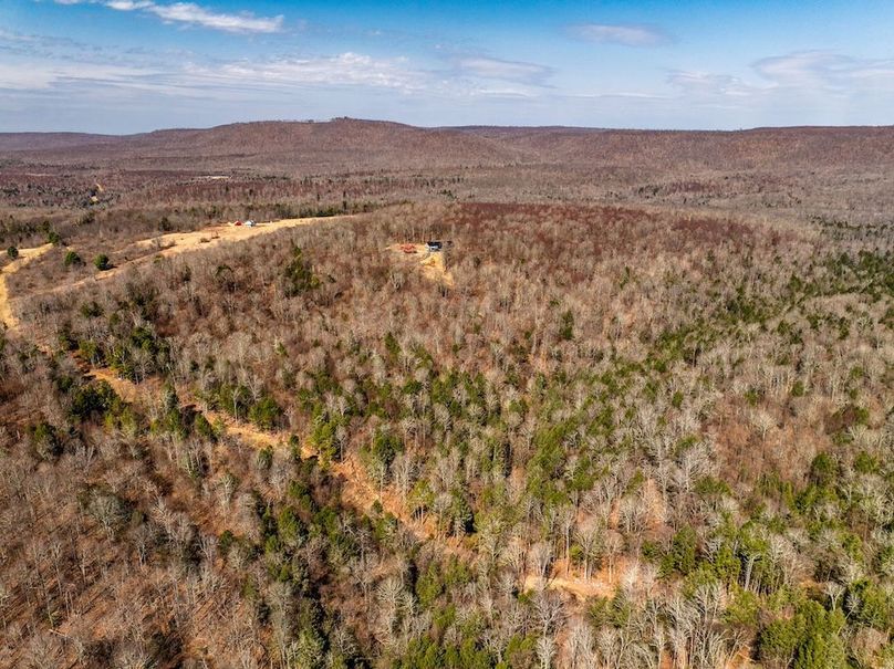 66-web-or-mls-IMG-66