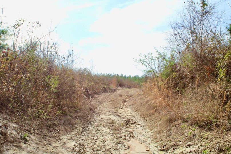 33D8A6FF-D9AF-48B4-9566-25F2D4BEA147_1_201_a