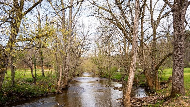 Sevier TN 77.63 Featured_Pro Photo-54