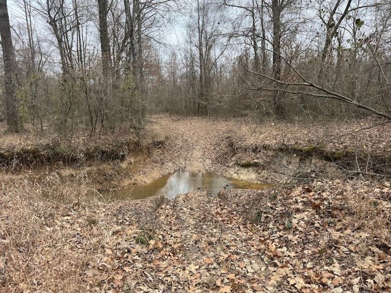 311 new20260217_0479