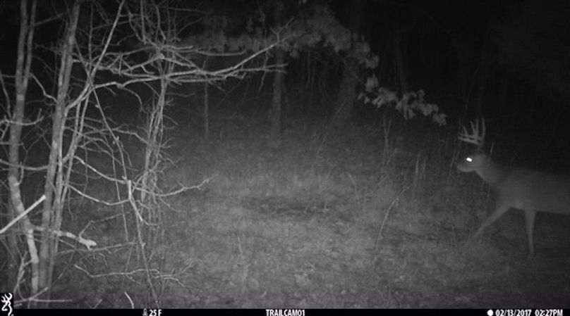 Buck 140 2