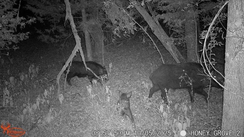 Lamar County- 93 acre reshoot (38 of 42