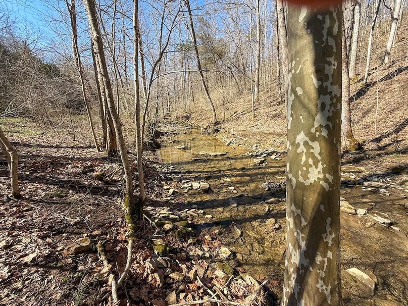 Fleming Petry 115-38