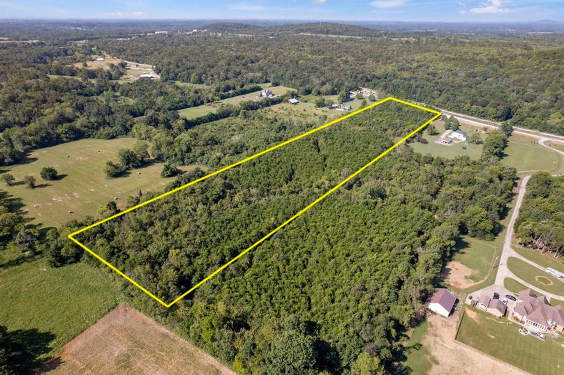 4-web-or-mls-DJI_0068