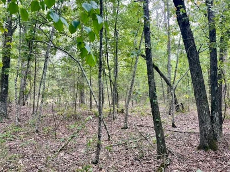 E347A8DC-AD76-4D13-8A17-F6819C8E8B0F_4_5005_c