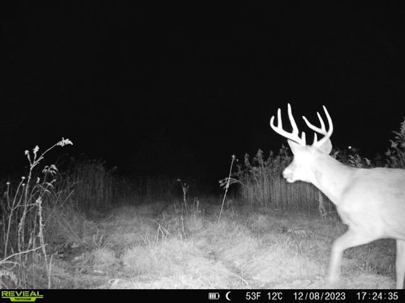 860322065128164-1-3-12082023172434-V-W1006359