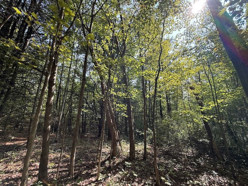 Chemung_20.82_Meyers Photo 10