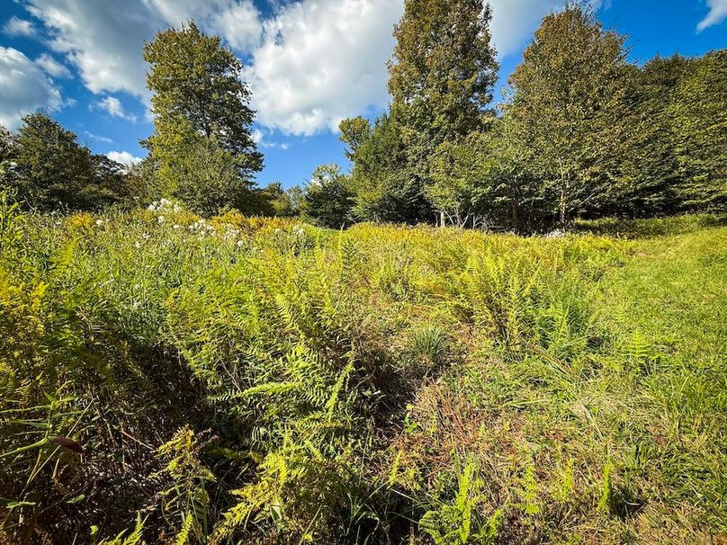 Oswego NY 18.18 Martin Photos 42