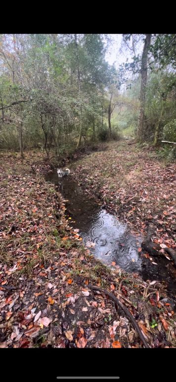 54367bb5-4379-4b64-887f-b0dc663ccc64-1_all_895