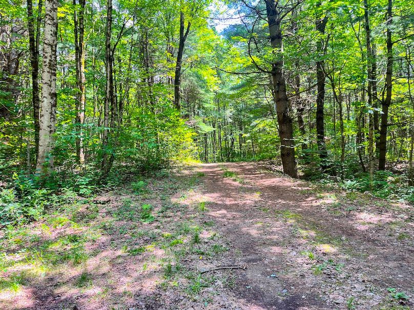 Oswego_20_Eck Photo 38