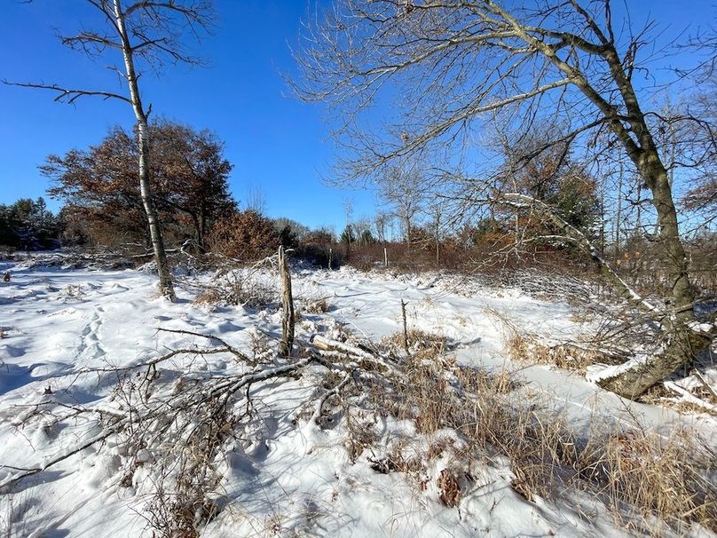 Juneau 105 Cantic -24