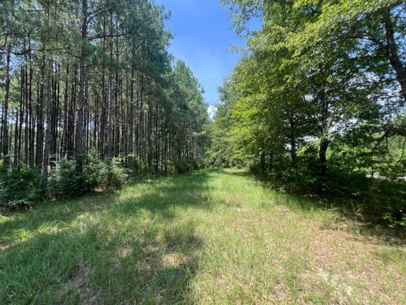 92A645A4-6687-46E1-B8E7-878D180A3FE3_1_105_c