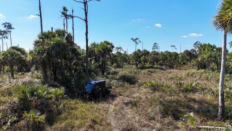 DJI_20251119125509_0004_D