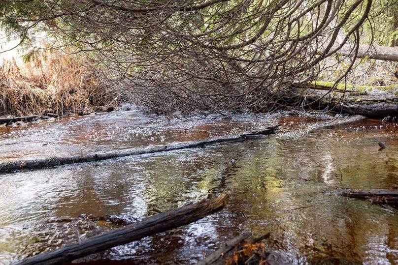 Mackinac 31.5 Noteboom-1635