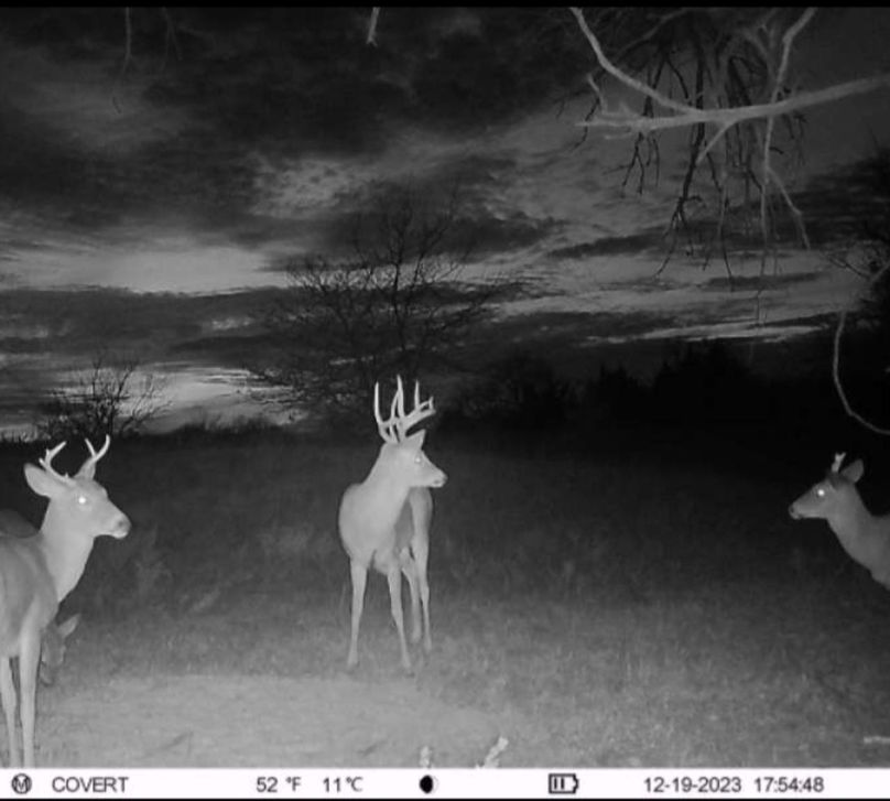 Screenshot_20231219_175705_CovertWireless