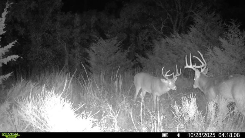 016578004545254-100-4-10282025041808-SYFW13153