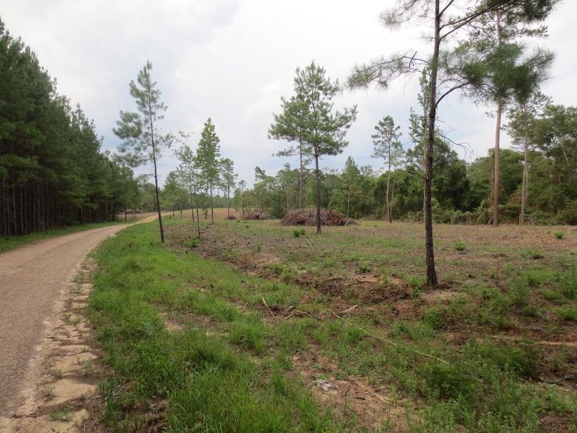 CB277CB3-1CAD-4C39-8484-918EFECAFAD8_1_105_c