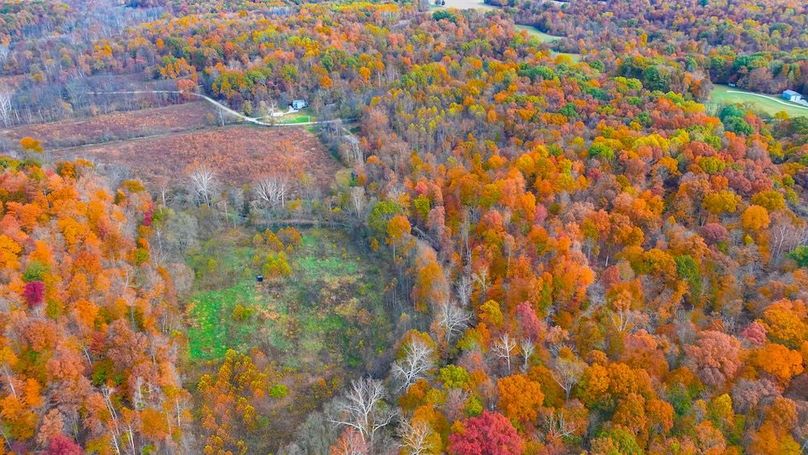 dji_fly_20251102_095116_0760_1762095982111_photo