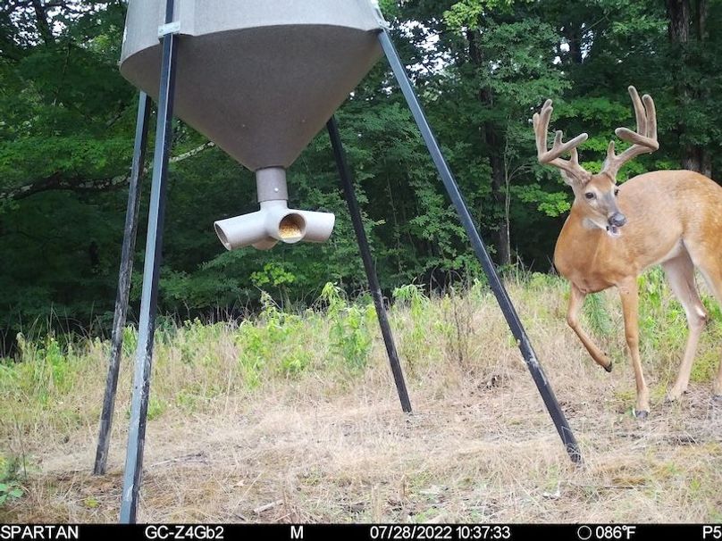 trail cam9