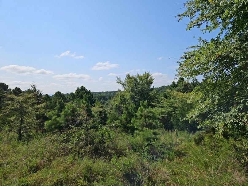 DJI_20240808_101612_124