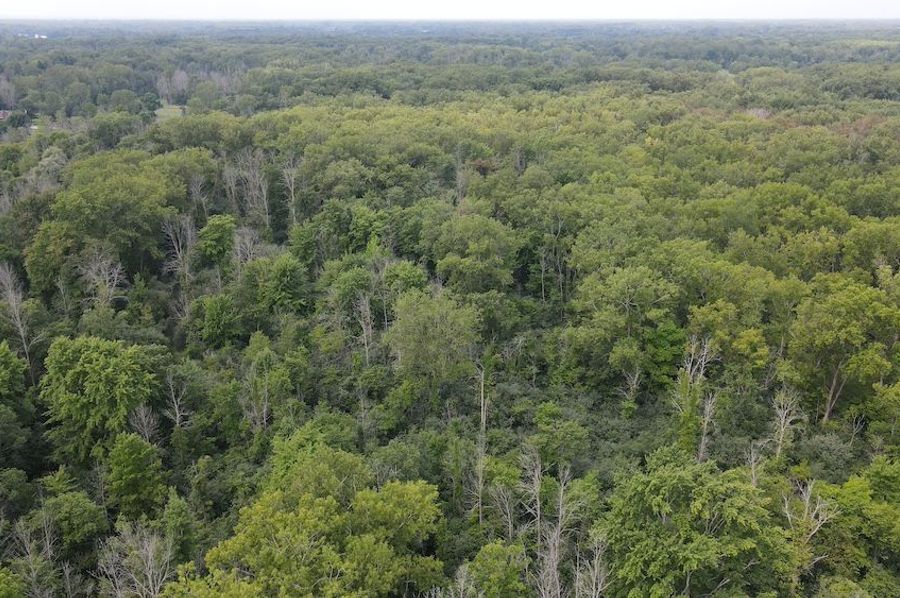8 dji_fly_20240805_114640_527_1722872831519_photo