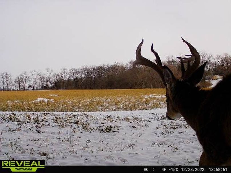 865814048775314-60-4-12232022135850-W1000545