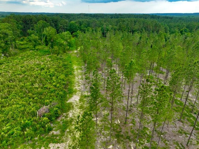 8DE2C8F3-16BF-4531-BB1B-DE46A12DA3DA_1_105_c