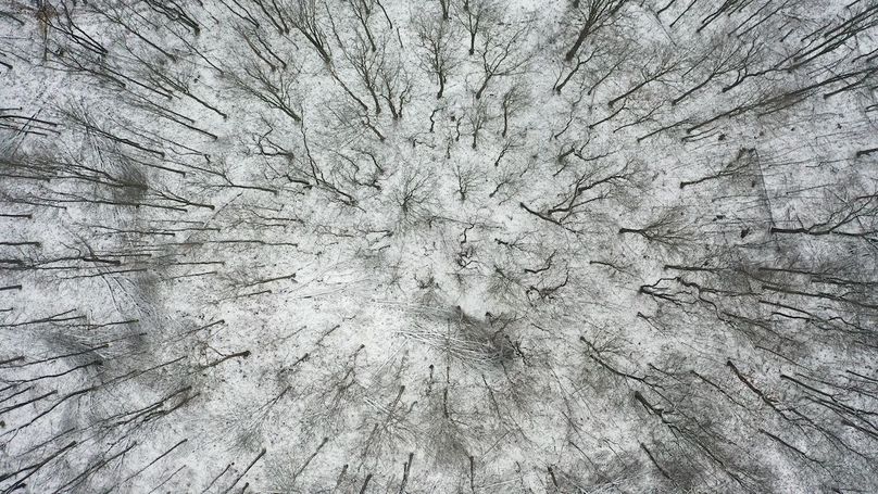 DJI_0352