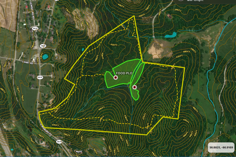 Screen Shot 2023-12-04 at 1.37.37 PM