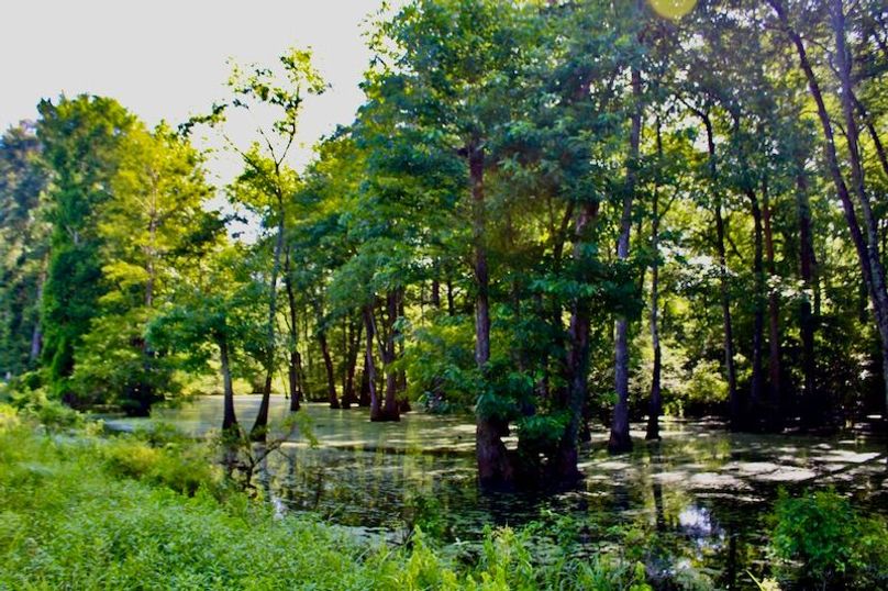 3168FF34-E94A-41CA-BB19-131A2989584C_1_201_a