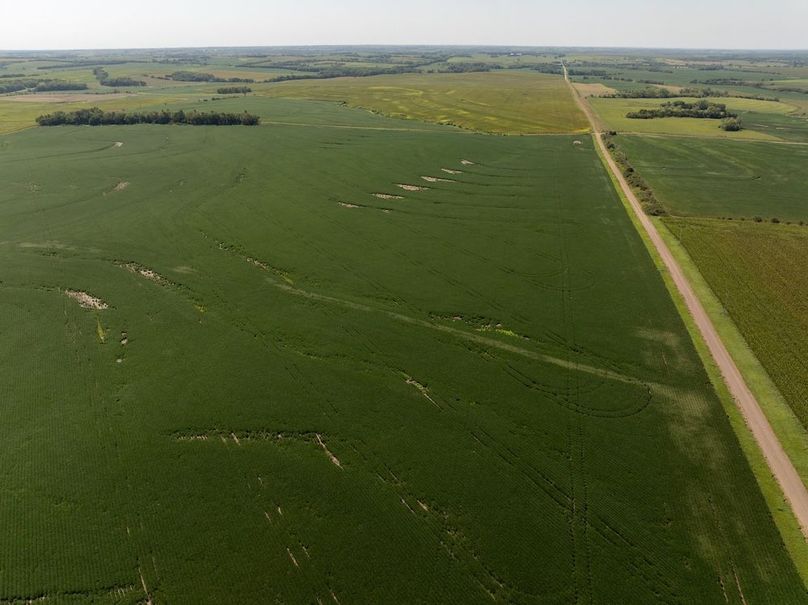 DJI_20250822112925_0052_D