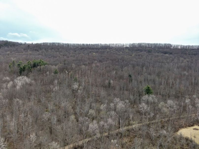 DJI_20260414142910_0021_V