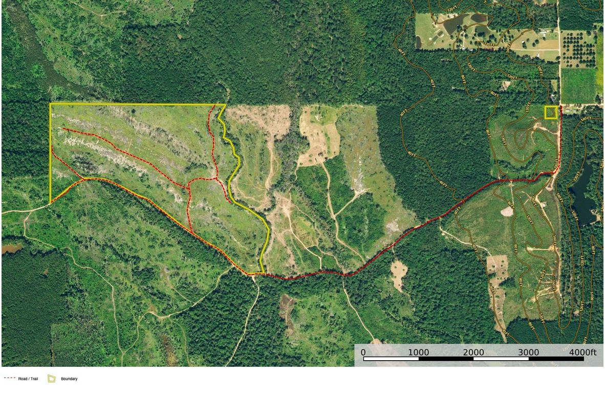 New Aerial #1 Approx. 149 AC Clarke County, AL copy