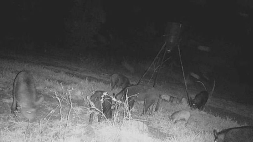 24031300074201006351