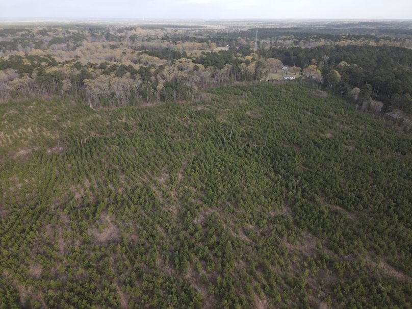DJI_0087