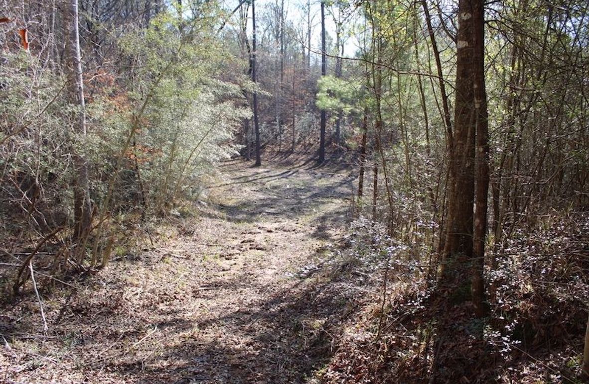 1DE3CB2B-70C6-471C-B7E1-6BAC04A6C56F_1_105_c