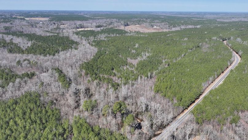 DJI_20250224104530_0557_D