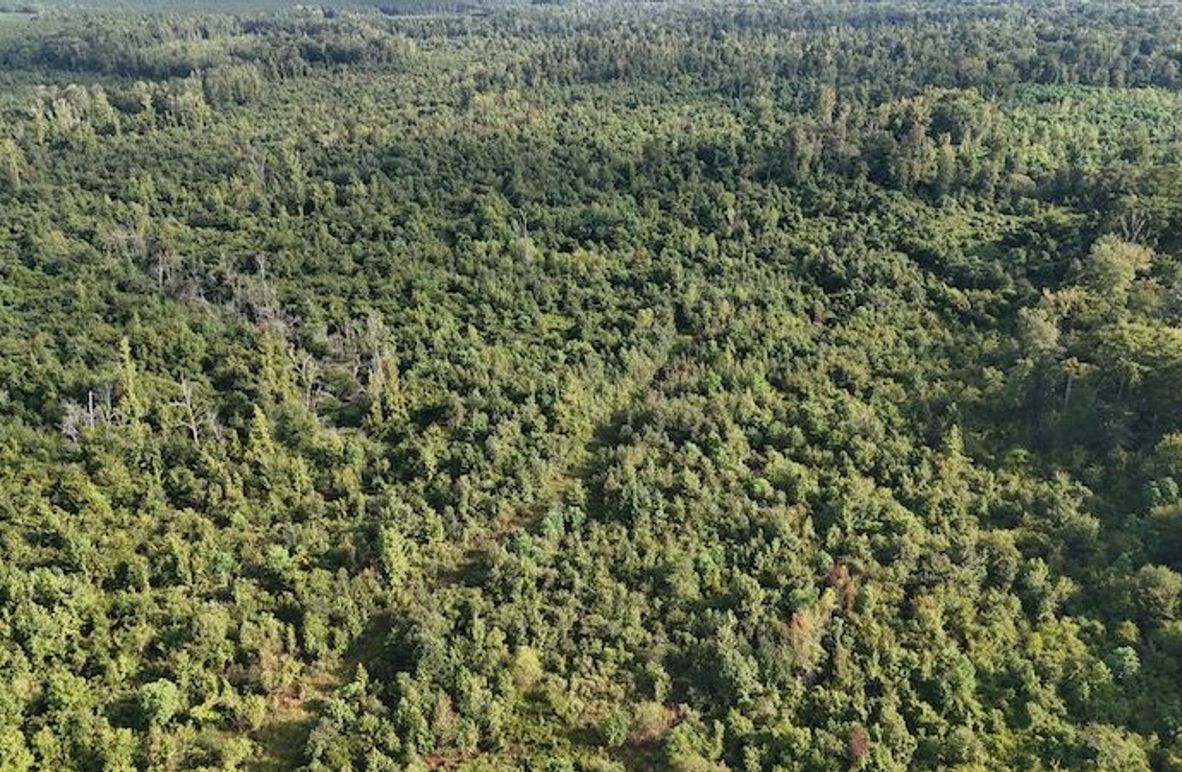 DJI_20250814085149_0054_D