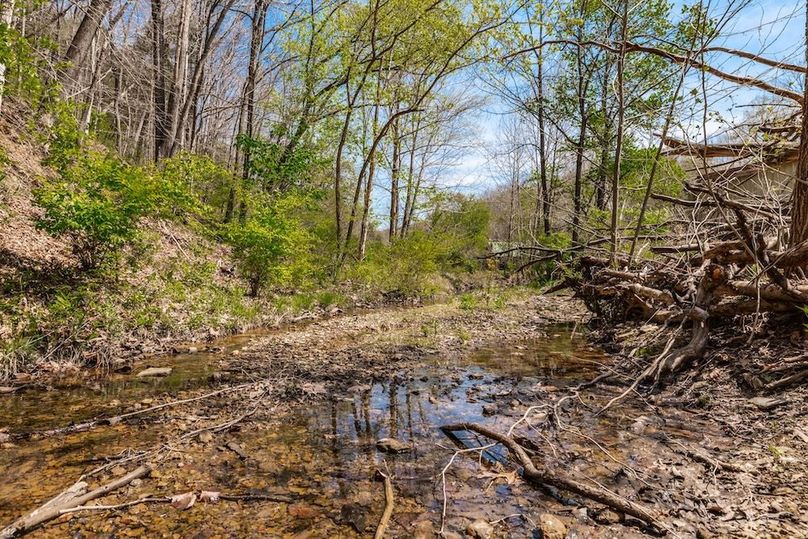 106-web-or-mls-0 Mound Creek Rd-76