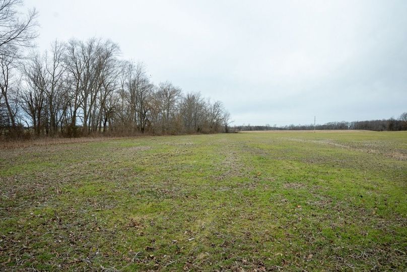 Copy of DSC00769 Large