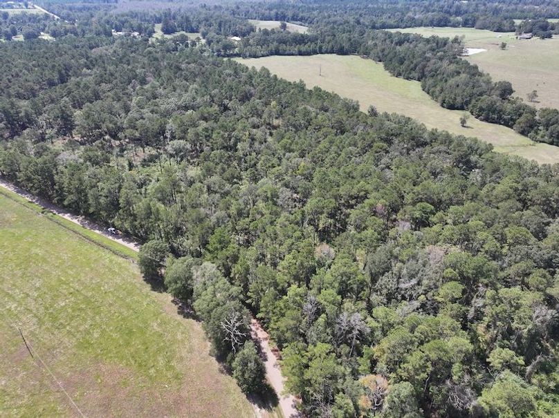 dji_fly_20250929_130228_0559_1759177337969_photo