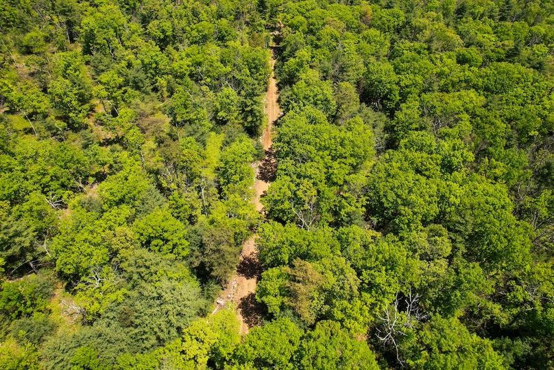 dji_fly_20250512_130054_975_1747069860249_photo