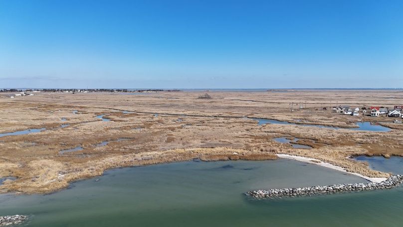 dji_fly_20250303_125258_0024_1741039481430_photo
